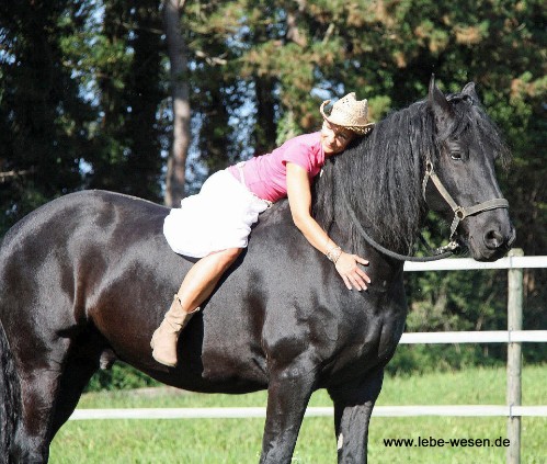 mit dem Herzen hören und fühlen
