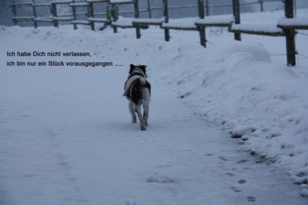 unvergessen - immer in meinem Herzen ...