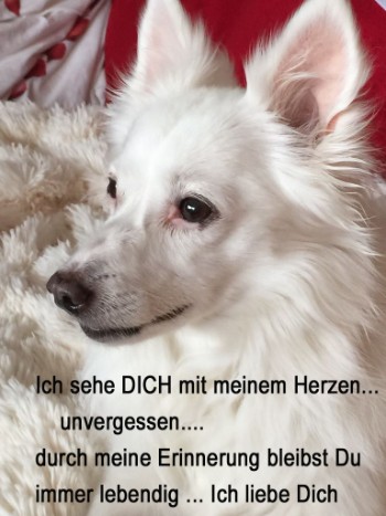 Ich sehe dich in meinem Herzen ...